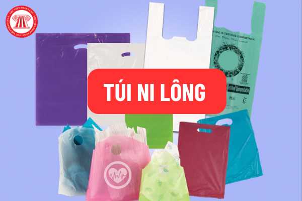 TÚI NI LÔNG - SỰ PHÁT TRIỂN VÀ ƯU ĐÃI CHO KHÁCH HÀNG